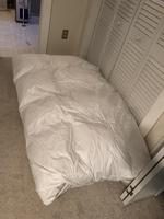 TIMED ONLINE AUCTION SEACOAST INN FURNISHINGS & DECOR - GLASSWARE Auction Photo