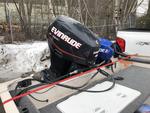 2007 EVINRUDE 40 Auction Photo