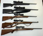TIMED ONLINE AUCTION TAXIDERMY, FIREARMS, AMMO, HUNTING SUPPLIES, ETC  Auction Photo