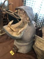 TIMED ONLINE AUCTION TAXIDERMY, FIREARMS, AMMO, HUNTING SUPPLIES, ETC  Auction Photo