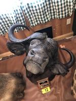 TIMED ONLINE AUCTION TAXIDERMY, FIREARMS, AMMO, HUNTING SUPPLIES, ETC  Auction Photo