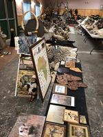 TIMED ONLINE AUCTION TAXIDERMY, FIREARMS, AMMO, HUNTING SUPPLIES, ETC  Auction Photo