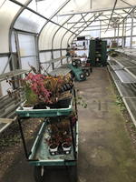 TRUSTEE'S SALE BY PUBLIC ONSITE AUCTION Auction Photo