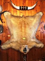 TIMED ONLINE AUCTION TAXIDERMY - ANTIQUES - COLLECTIBLES  Auction Photo