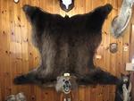 TIMED ONLINE AUCTION TAXIDERMY - ANTIQUES - COLLECTIBLES  Auction Photo