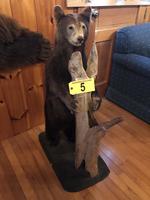 TIMED ONLINE AUCTION TAXIDERMY - ANTIQUES - COLLECTIBLES  Auction Photo