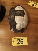 TIMED ONLINE AUCTION TAXIDERMY - ANTIQUES - COLLECTIBLES  Auction Photo