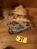 TIMED ONLINE AUCTION TAXIDERMY - ANTIQUES - COLLECTIBLES  Auction Photo