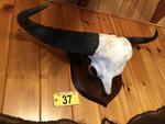 TIMED ONLINE AUCTION TAXIDERMY - ANTIQUES - COLLECTIBLES  Auction Photo