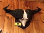 TIMED ONLINE AUCTION TAXIDERMY - ANTIQUES - COLLECTIBLES  Auction Photo