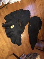 TIMED ONLINE AUCTION TAXIDERMY - ANTIQUES - COLLECTIBLES  Auction Photo