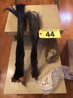 TIMED ONLINE AUCTION TAXIDERMY - ANTIQUES - COLLECTIBLES  Auction Photo