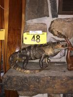 TIMED ONLINE AUCTION TAXIDERMY - ANTIQUES - COLLECTIBLES  Auction Photo