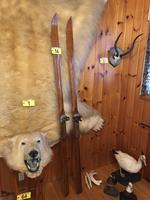 TIMED ONLINE AUCTION TAXIDERMY - ANTIQUES - COLLECTIBLES  Auction Photo