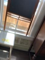 TIMED ONLINE AUCTION TAXIDERMY - ANTIQUES - COLLECTIBLES  Auction Photo