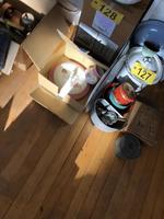 TIMED ONLINE AUCTION TAXIDERMY - ANTIQUES - COLLECTIBLES  Auction Photo