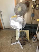 TIMED ONLINE AUCTION TAXIDERMY - ANTIQUES - COLLECTIBLES  Auction Photo