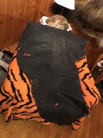 TIMED ONLINE AUCTION TAXIDERMY - ANTIQUES - COLLECTIBLES  Auction Photo