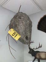TIMED ONLINE AUCTION TAXIDERMY, FURNITURE, MUSICAL INSTRUMENTS Auction Photo