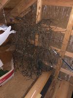 TIMED ONLINE AUCTION  YAMAHA BABY GRAND PIANO - FURNITURE - SILVER Auction Photo