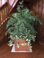 TIMED ONLINE AUCTION  YAMAHA BABY GRAND PIANO - FURNITURE - SILVER Auction Photo