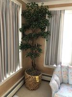 TIMED ONLINE AUCTION  YAMAHA BABY GRAND PIANO - FURNITURE - SILVER Auction Photo