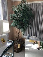 TIMED ONLINE AUCTION  YAMAHA BABY GRAND PIANO - FURNITURE - SILVER Auction Photo