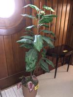 TIMED ONLINE AUCTION  YAMAHA BABY GRAND PIANO - FURNITURE - SILVER Auction Photo