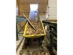 TIMED ONLINE AUCTION SAWMILL, MACHINE SHOP, WELDING, CRANE TRUCKS  Auction Photo