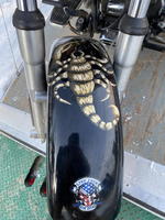 2005 HARLEY-DAVIDSON FLSTFI FAT BOY Auction Photo