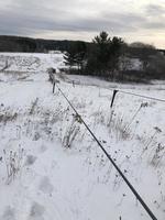 SECURED PARTY'S SALE BY TIMED ONLINE AUCTION SNOW TUBING EQUIPMENT Auction Photo