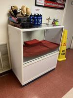 TIMED ONLINE AUCTION (31) ADULT & JUNIOR GO KARTS, CONCESSION EQ.  Auction Photo