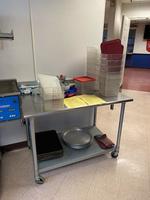 TIMED ONLINE AUCTION (31) ADULT & JUNIOR GO KARTS, CONCESSION EQ.  Auction Photo