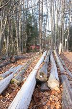 TIMED ONLINE AUCTION CONCESSION AND TRACK SUPPORT EQUIP, LIGHTING Auction Photo