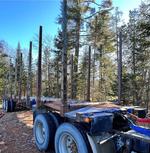 2001 BWS TRI-AXLE LOG TRAILER