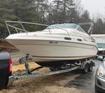 1996 SEARAY 230 Auction Photo