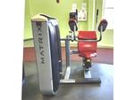 PUBLIC TIMED ONLINE AUCTION FITNESS & SUPPORT EQUIPMENT Auction Photo
