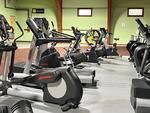 PUBLIC TIMED ONLINE AUCTION FITNESS & SUPPORT EQUIPMENT Auction Photo