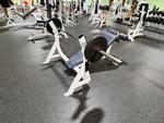 PUBLIC TIMED ONLINE AUCTION FITNESS & SUPPORT EQUIPMENT Auction Photo
