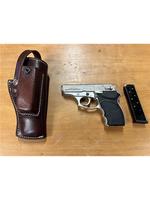 PUBLIC TIMED ONLINE AUCTION FIREARMS, GUN SAFE & AMMUNITION Auction Photo