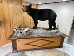 PUBLIC TIMED ONLINE AUCTION TAXIDERMY COLLECTION, BEAR, MOOSE, DEER Auction Photo