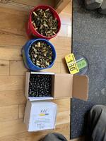 PUBLIC TIMED ONLINE AUCTION - (14) FIREARMS, HUNTING RIFLES, HANDGUNS, AMMO, SAFE, BOW Auction Photo