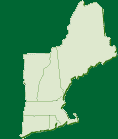 new england