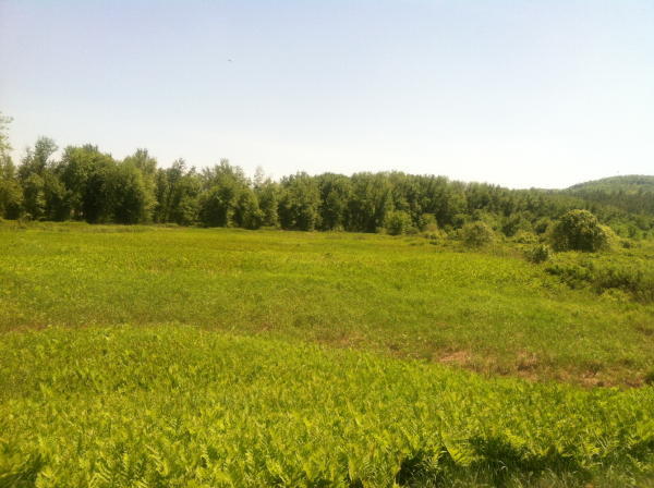 197+/- Ac, Home & Barn - 34+/- Ac on River - Tractor, Trucks, Boat & Contents Auction