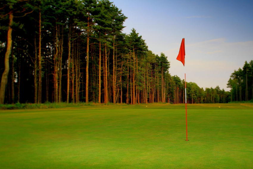 18-Hole Golf Course - 156.53+/- Ac - Clubhouse/Restaurant - Cell Tower Lease - Mowers - Carts Auction