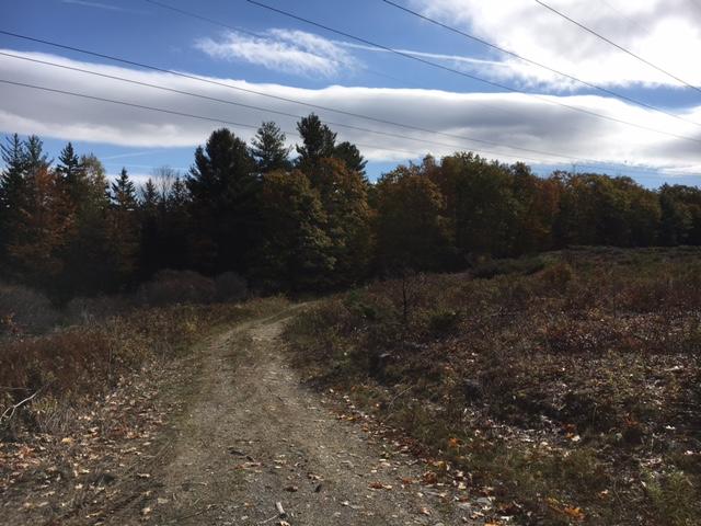 313+/- Acres - (11) Parcels - Orrington, Maine Auction
