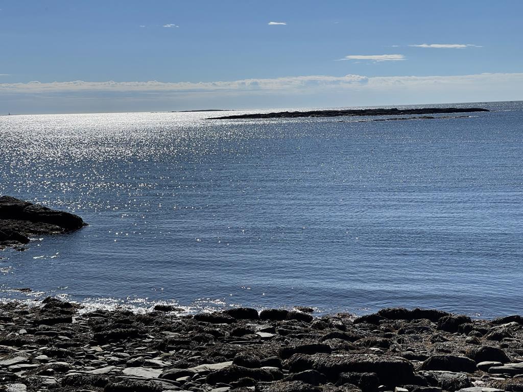 OCEANFRONT LOT - .46+/- Acres Auction