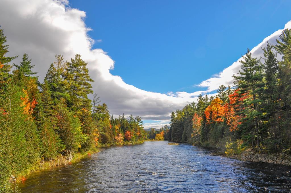 Riverfront Sporting Lodge & Cabins ~ Bowlin Camps Lodge Auction