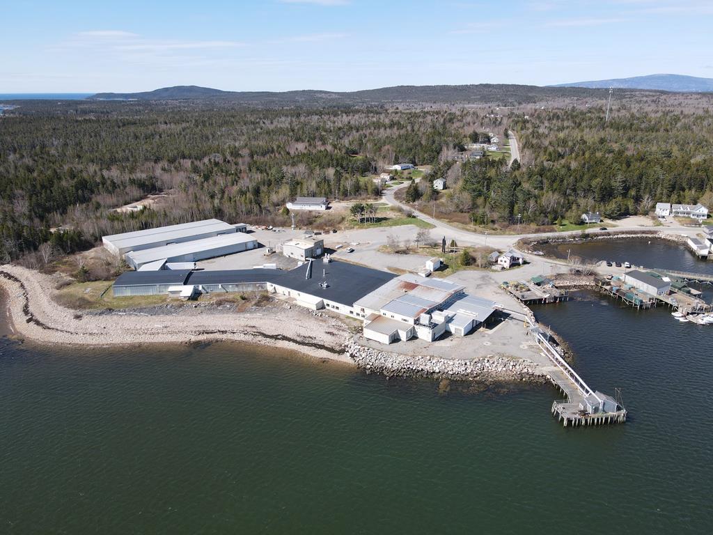 100,000+/-SF Indl/Com Complex - 1,250+/- Oceanfront - 94+/-AC - Pier Auction