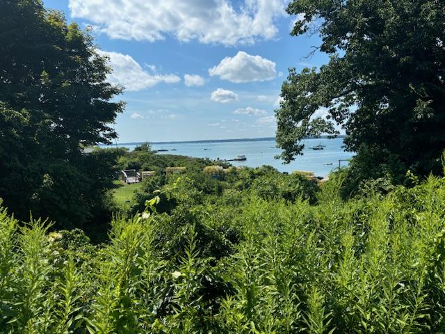 .72+/- Acre Lot Ocean Views Auction